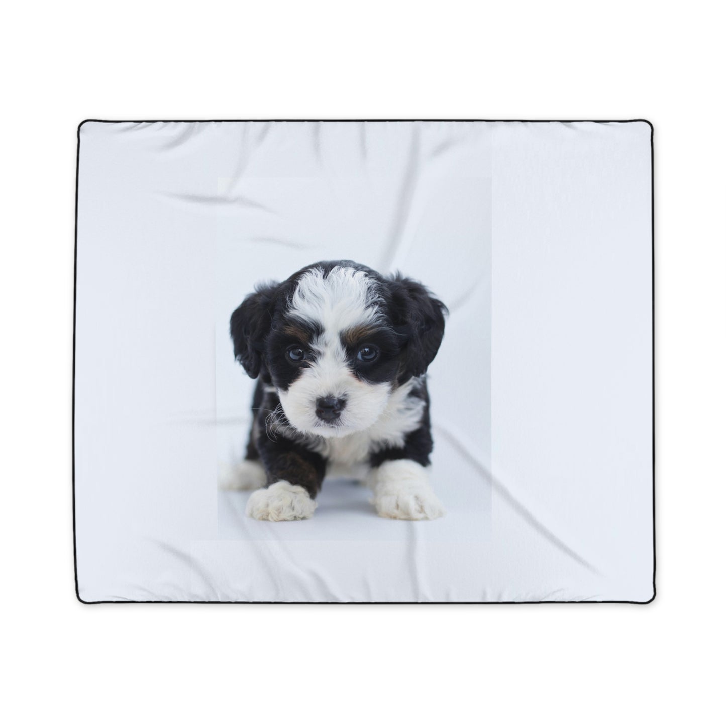 Polyester Viscex Blanket- Custom Pet Blanket