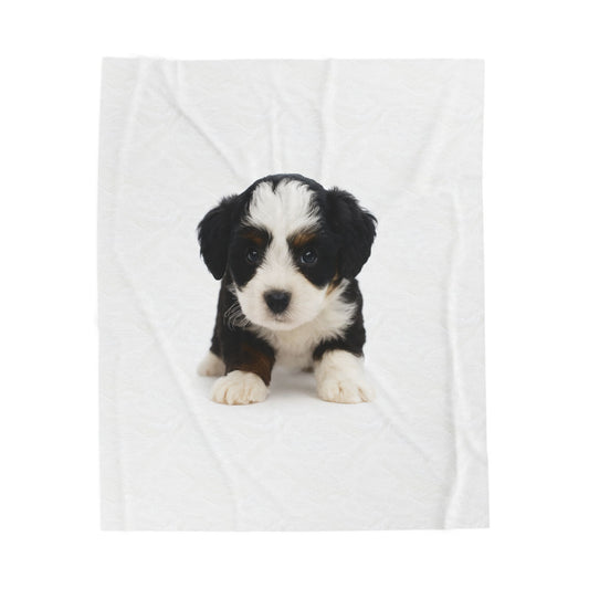 Plush Velveteen Blanket- Custom Pet Blanket