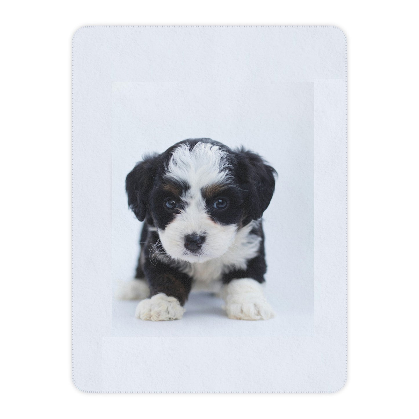 Tan Colored Sherpa Blanket- Custom Pet Blanket