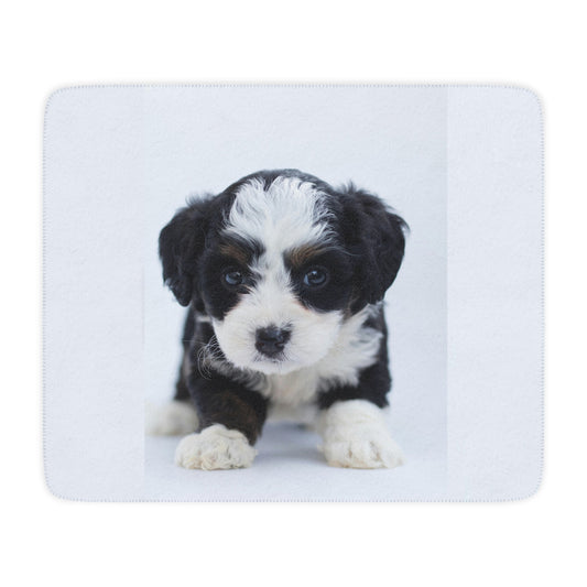 Tan Colored Sherpa Blanket- Custom Pet Blanket