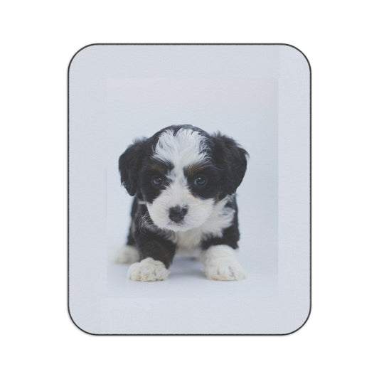 Picnic Blanket- Custom Pet Blanket