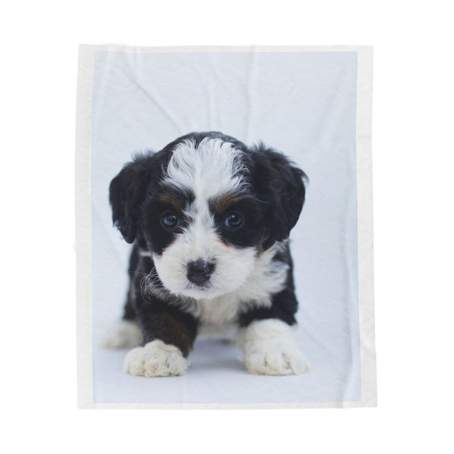 Custom Pet Image Velveteen Plush Blanket