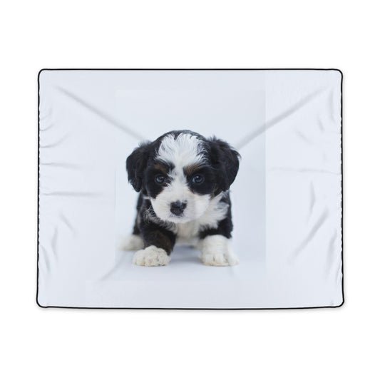 Polyester Viscex Blanket- Custom Pet Blanket