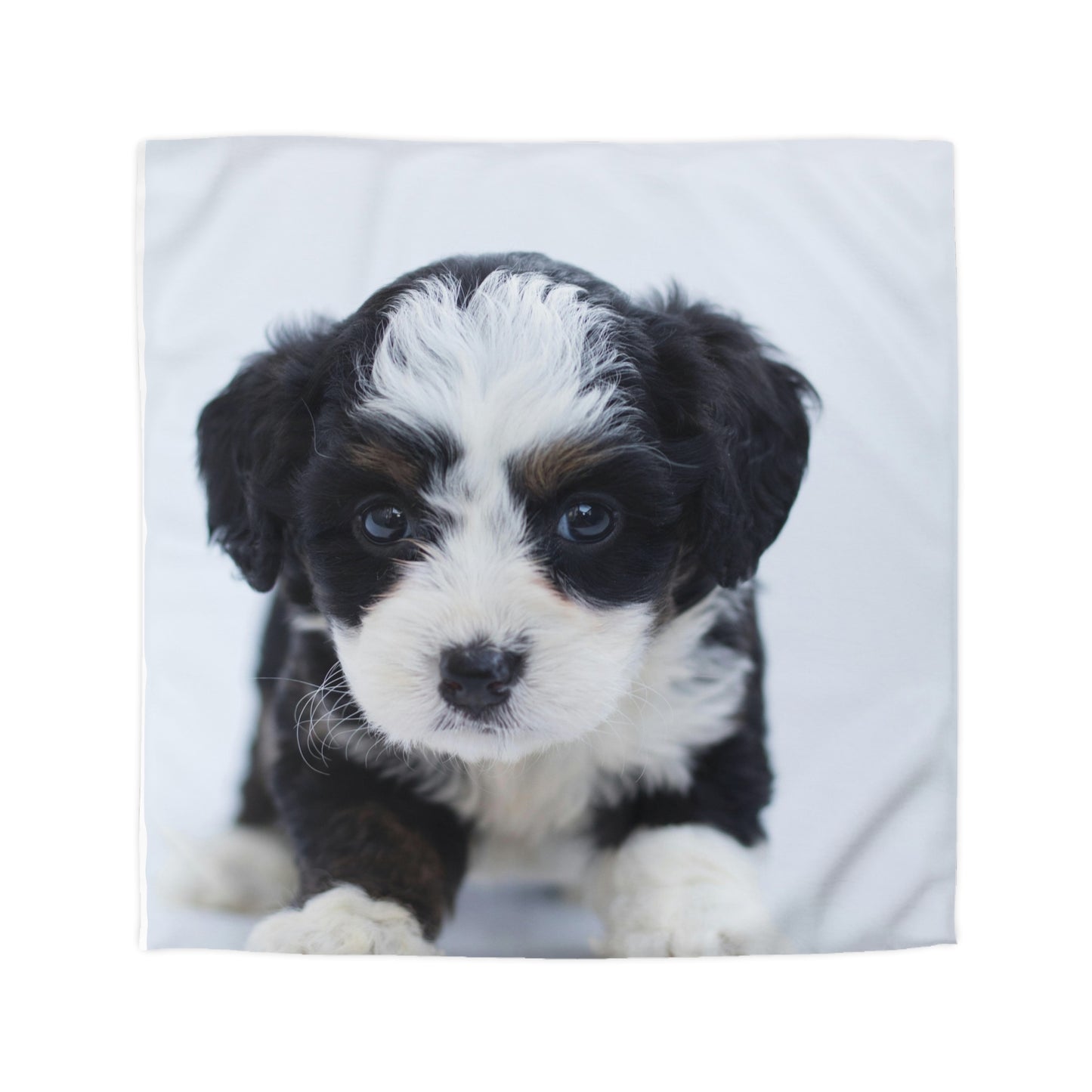 Custom Pet Image Microfiber Duvet Cover Blanket