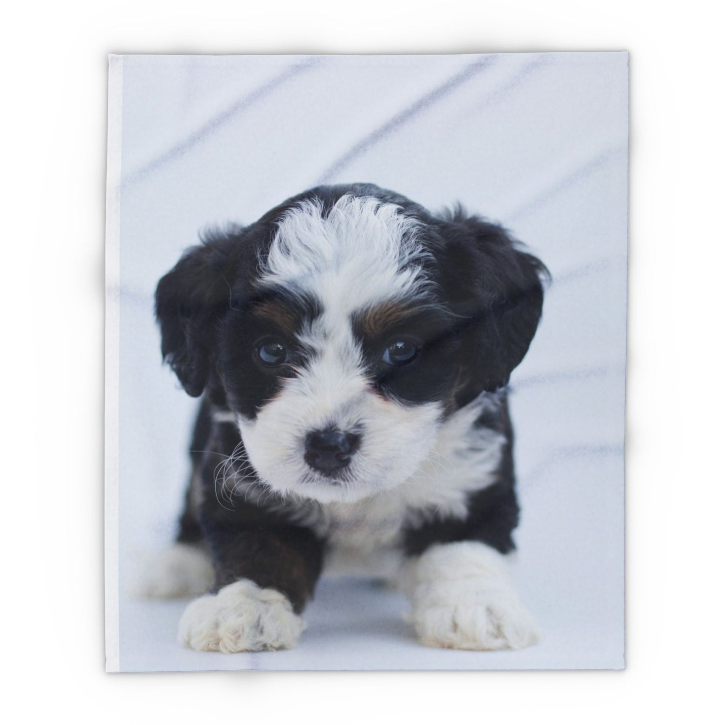 Custom Pet Image Arctic Fleece Blanket