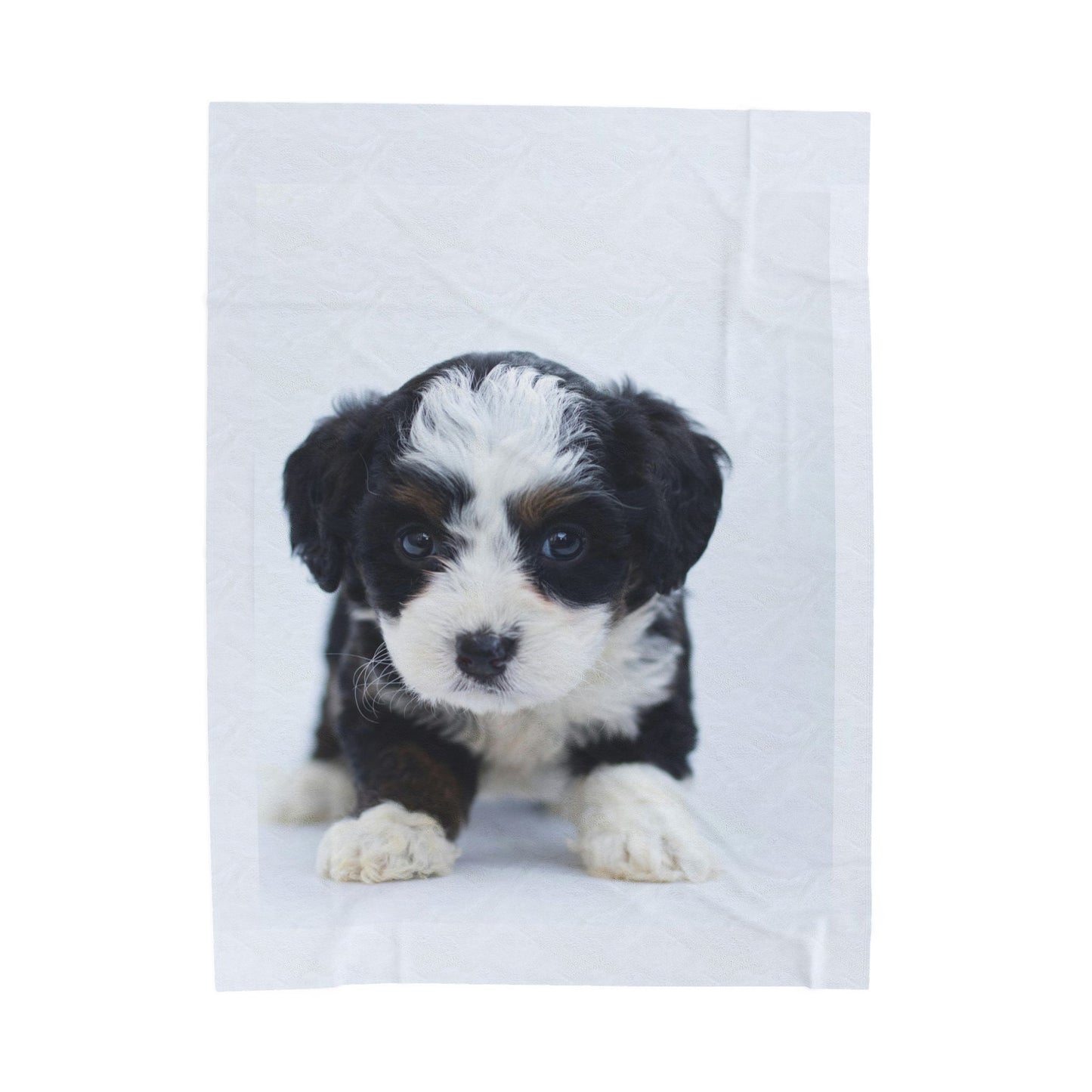 Plush Velveteen Blanket- Custom Pet Blanket