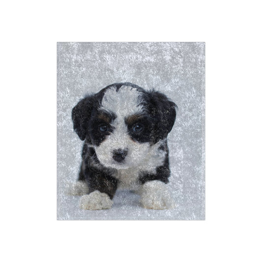 Crushed Velvet Blanket- Custom Pet Blanket