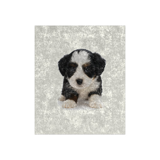 Crushed Velvet Blanket- Custom Pet Blanket