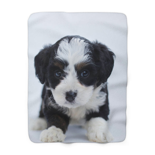 Sherpa Fleece (White)- Custom Pet Blanket
