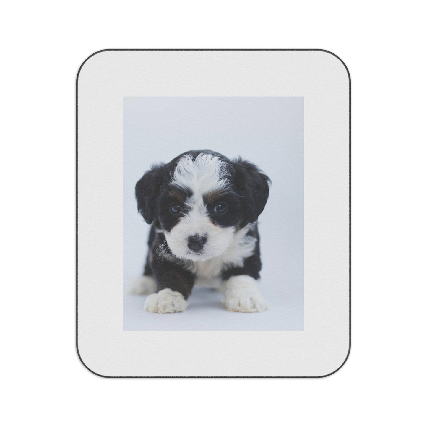 Custom Pet Image Picnic Blanket