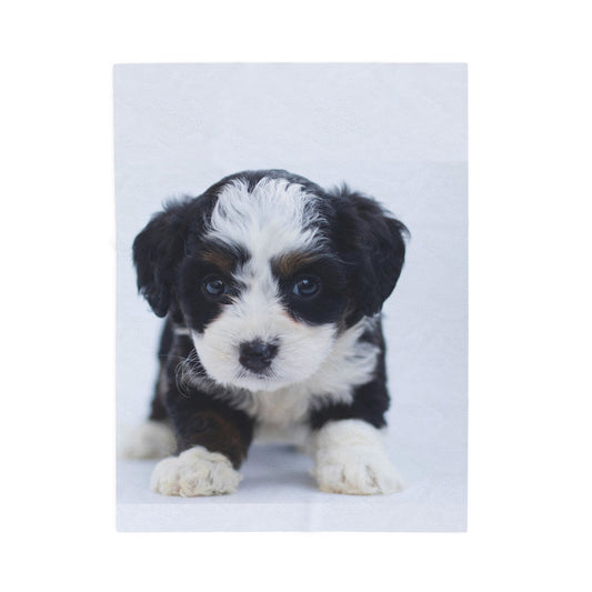 Plush Velveteen Blanket- Custom Pet Blanket