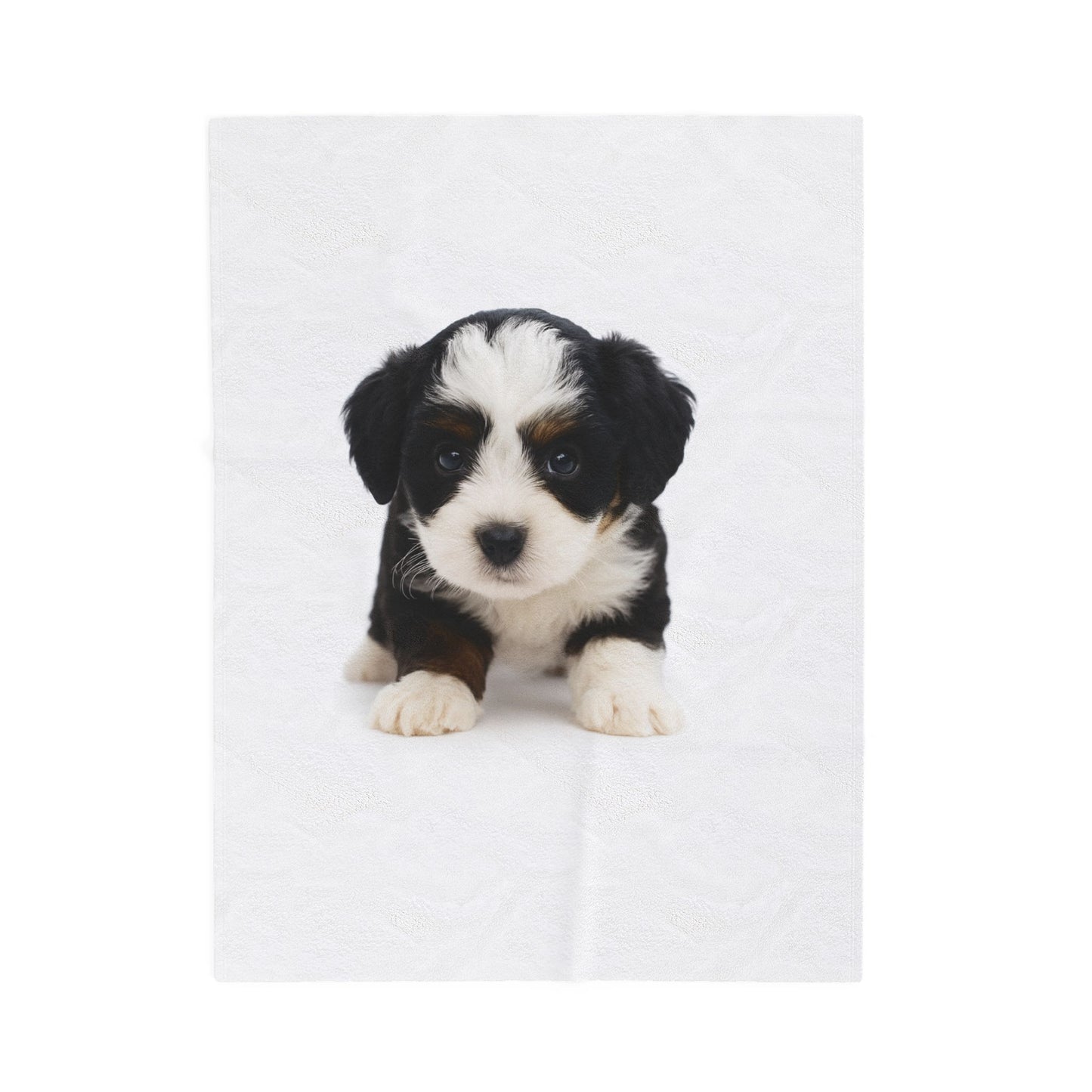 Plush Velveteen Blanket- Custom Pet Blanket