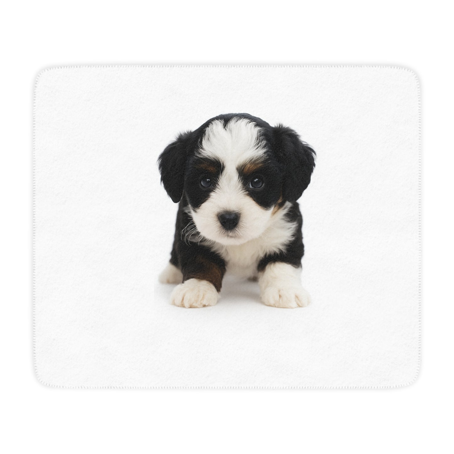 Tan Colored Sherpa Blanket- Custom Pet Blanket