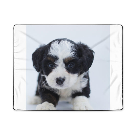 Custom Pet Image Polyester Blanket