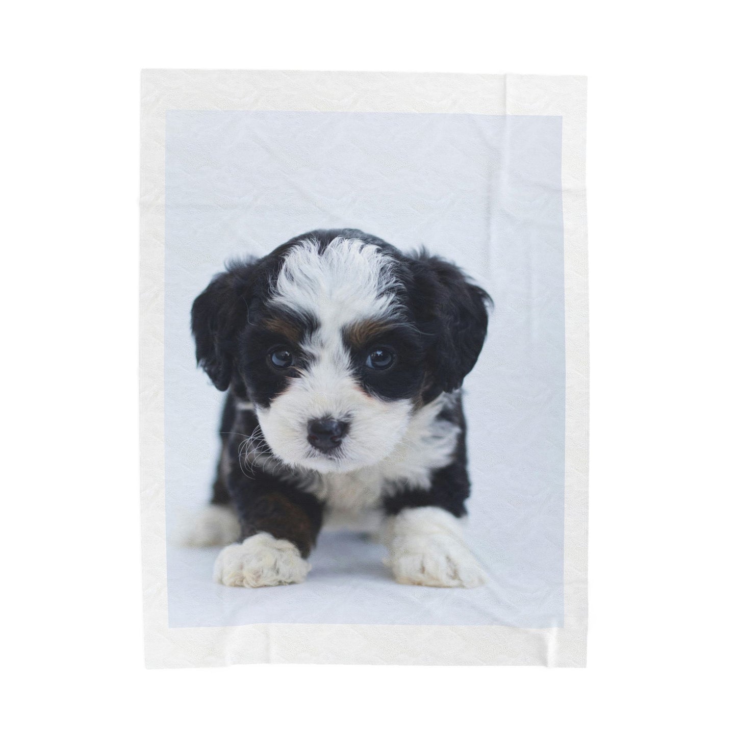 Custom Pet Image Velveteen Plush Blanket