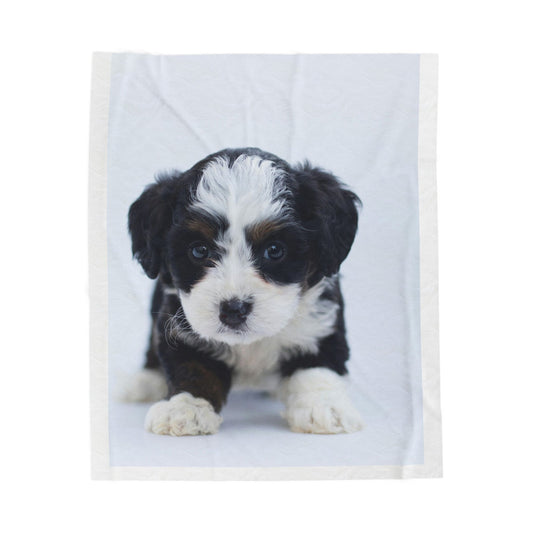 Plush Velveteen Blanket- Custom Pet Blanket
